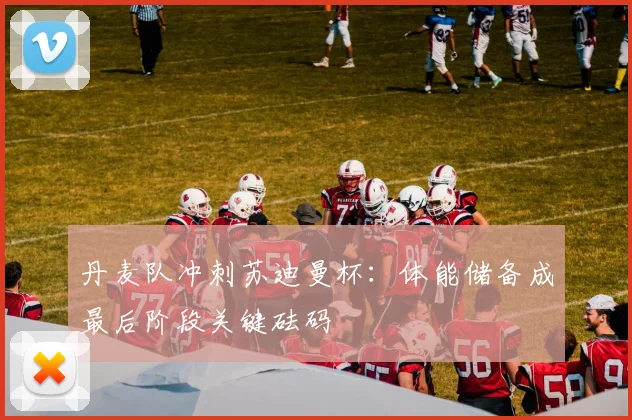 丹麦队冲刺苏迪曼杯:体能储备成最后阶段关键砝码