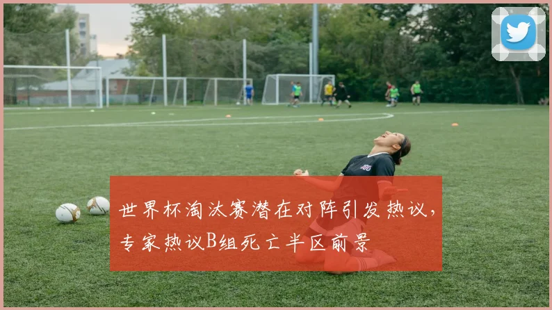 世界杯淘汰赛潜在对阵引发热议,专家热议B组死亡半区前景
