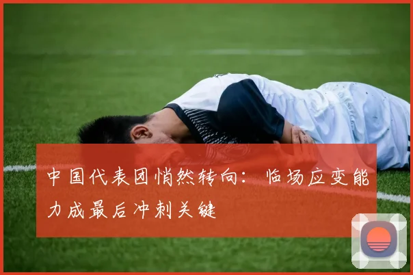 中国代表团悄然转向:临场应变能力成最后冲刺关键