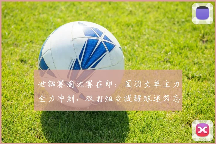 世锦赛淘汰赛在即,国羽女单主力全力冲刺,双打组合提醒球迷勿忘初心