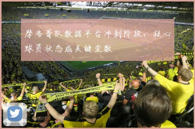 摩洛哥队数据平台冲刺阶段,核心球员状态成关键变数